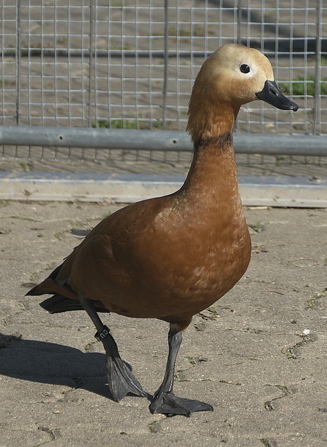 挫折更
